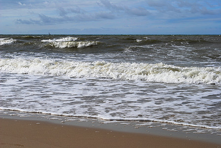 波罗的海 金沙 深的 海滩 海岸 水 海的 沿海的背景图片