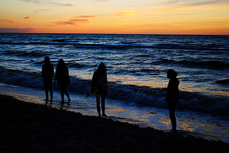 波罗的海 太阳 海岸 海滨 金沙 黎明 海的 水背景图片