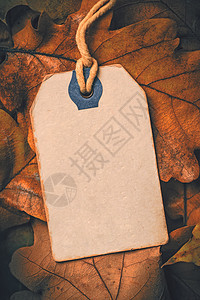 旱秋叶叶树背景上带麻绳的价格标签 商业 折扣图片