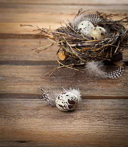 木制本底有羽毛的蛋 食物 巢 鹌鹑 桌子 产品 复活节图片