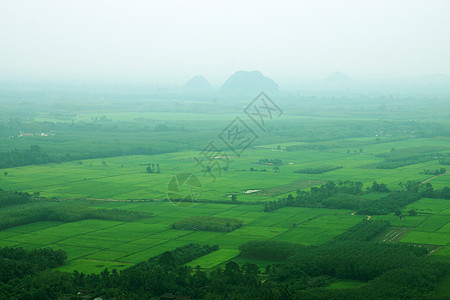 来自山顶的稻田风景 泰国南边图片