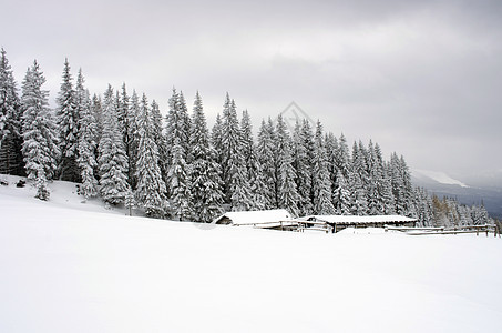 冬季寒冬平静的山地风景 雪覆盖了海面和积雪 天空 奥地利图片