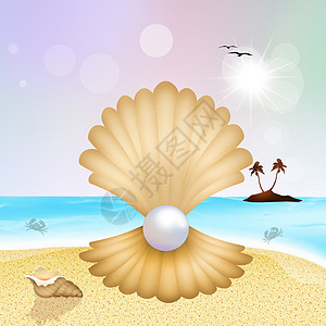 在海边的贝壳里有珍珠 自然 旅行 季节 海滩 插图图片