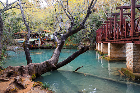 湖边木环桥 岩石 森林 流动的 蓝色的 火鸡 场景 风景优美图片