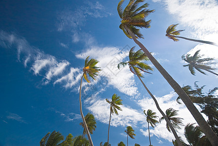 桑给巴尔的热带海滩 干净的 海洋 冒险 旅行背景图片