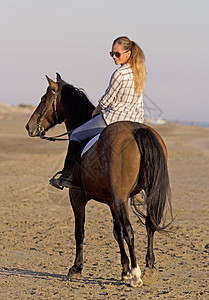 沙滩上的马妇 海滩 太阳 海 女孩 运动 骑马图片