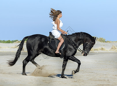 沙滩上的马匹女人 骑马 孩子们 假期 训练 盛装舞步图片