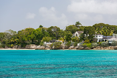 巴巴多斯沿海的居住区 泻湖 树木 海洋 美丽的 海滩图片