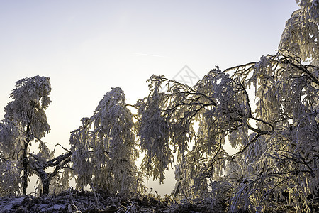 冬季风景 太阳 山 霜 冰 天气 冬天 晴天图片