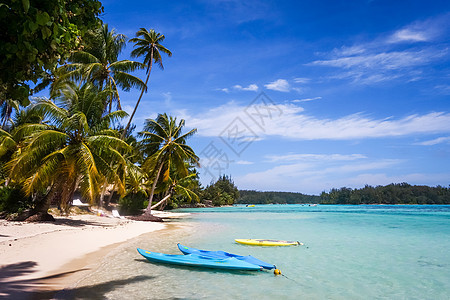 Moorea岛的天堂热带海滩和环礁湖 波利尼西亚图片
