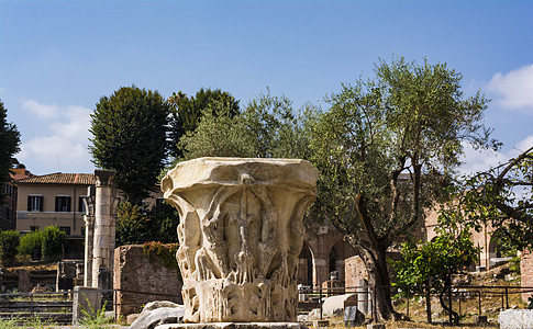 意大利罗马罗马论坛古老的支柱机构图片