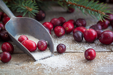 新年俄罗斯传统中 新鲜的圣诞红莓甘糖 果酱图片