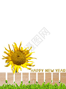 向日葵花花园新年快乐 快乐的 凸版 季节 小路 剪裁图片