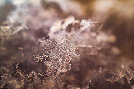 雪花关闭你 圣诞节 冰 霜 降雪 美好的 雪堆图片