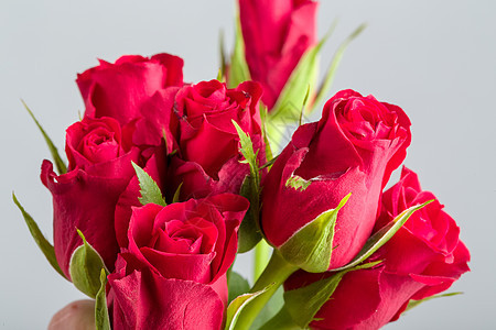 鲜红玫瑰花 美丽的 植物群 花朵 花的 花束 浪漫图片