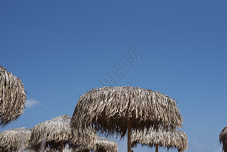 草皮伞 海滩季节 休息时间和旅行时间 文字位置 天空背景 太阳的刺雨伞图片