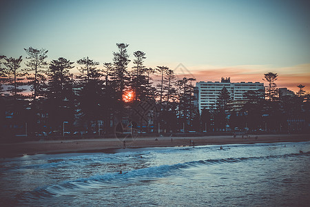 悉尼城市澳大利亚悉尼 日落时 Manly海滩 旅行背景