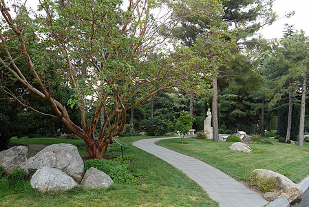 一个绿色公园 里面有美丽的雕像 漫展的树木和石块图案 沿路而行图片