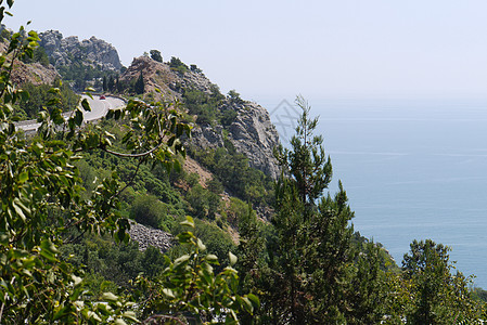 深无远海背景上覆盖着树木的陡峭悬崖壁图片