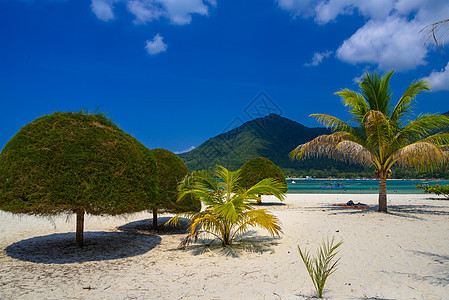 马里布海滩的棕榈和沙子 苏拉塔尼省戈夫潘干岛 异国情调 云图片