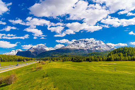 瑞士阿尔卑斯山绿田和阿尔卑斯山脉与森林相交 Samedan M 草 瑞士背景