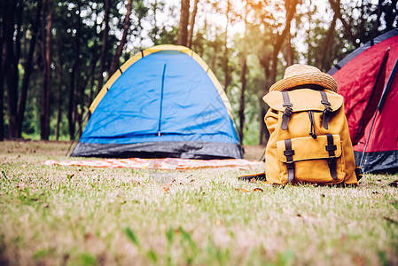 行李放在露营帐篷后面的地板上 b 防弹衣 树 季节图片