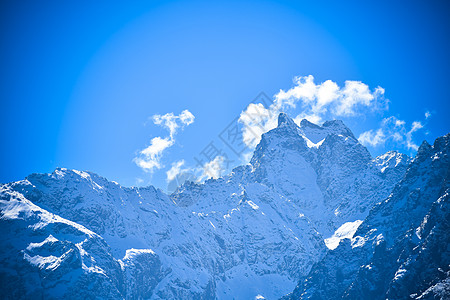 选择性焦点 Yumthang 谷或花谷保护区 是印度北锡金喜马拉雅山脉环绕的国花杜鹃花草甸上的自然美景 岩石 高度图片