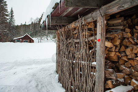 含有红心的天然木柴堆 自然 木头 财产 国家 西伯利亚图片