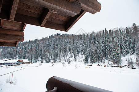 森林里的冬假度假屋 树 松树 住宅 木头 寒冷的图片