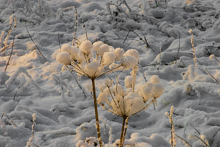 雪花冬天寒冷寒冷 日落白日落图片