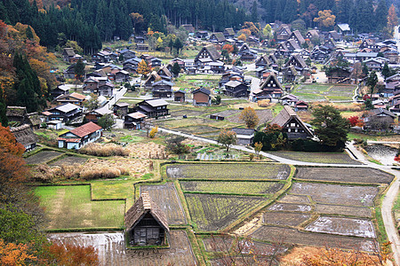 秋天Shirakawago村空中景象图片