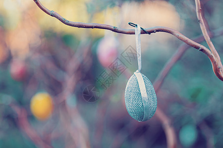 复活节鸡蛋在树上带有bokeh 植物 丝带 春天图片