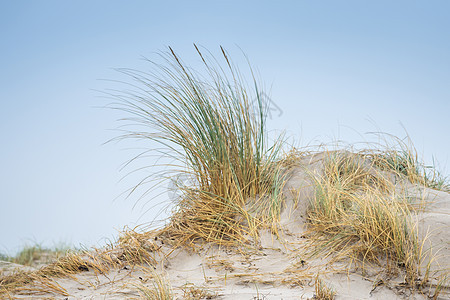 赫尔戈兰岛的沙丘风景 海 旅游 国家公园 海滩 户外图片