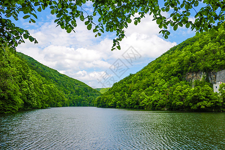 绿色森林景观 山林 山中的森林湖 湖景山林 夏天 环境图片