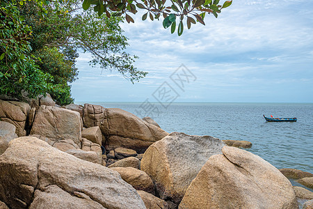 槟城岛岩石在槟城国家公园热带雨林旁的海滩图片