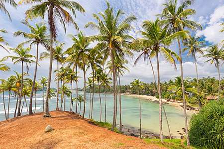 热带海滩 在斯里兰卡米里萨沙沙滩上有外来的棕榈树和木船 海景图片