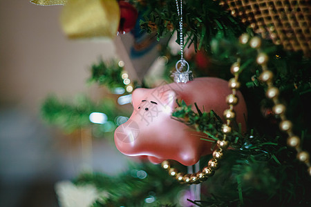 圣诞玩具 在圣诞节装饰的圣诞树上 是一只粉色猪做的 雪 假期图片