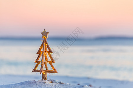 草木生锈的圣诞树 夏天沙滩上有童话灯光背景图片