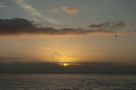 大西洋上美丽的金色日出 夏天 海浪 春天 热带 晚上图片