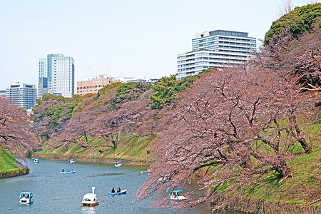 河流背景自然户外公园在日本T号有游艇背景
