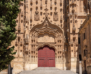萨拉曼卡新大教堂的侧门入口图片