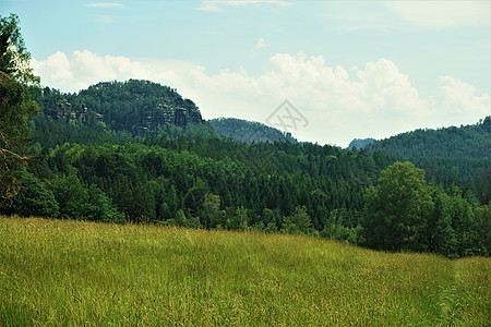 提施斯坦山草地和森林的美丽景色图片