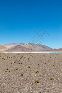 智利阿塔卡马沙漠 萨拉尔阿瓜斯卡连特斯 图亚科托湖 南美洲 山脉 蓝色的图片