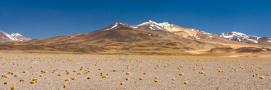 智利阿塔卡马沙漠 萨拉尔阿瓜斯卡连特斯 图亚科托湖 南美洲 岩石 自然图片