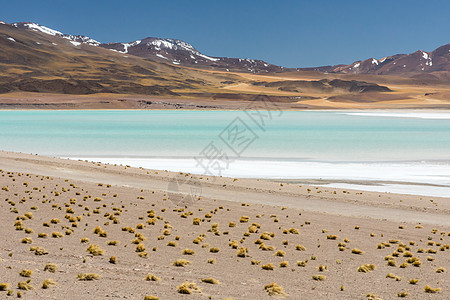 智利阿塔卡马沙漠 萨拉尔阿瓜斯卡连特斯 图亚科托湖 南美洲 观光 岩石图片