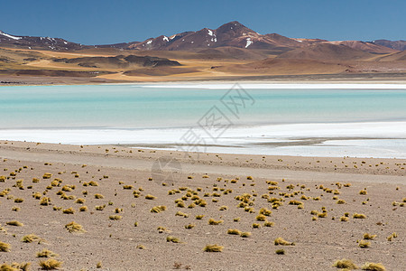 智利阿塔卡马沙漠 萨拉尔阿瓜斯卡连特斯 图亚科托湖 南美洲 绿洲 山脉图片