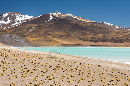 智利阿塔卡马沙漠 萨拉尔阿瓜斯卡连特斯 图亚科托湖 南美洲 山 泻湖图片