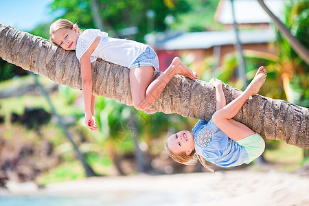 热带海滩上可爱的小女孩在暑假期间在棕榈树上玩得开心 孩子们像猴子一样享受假期图片