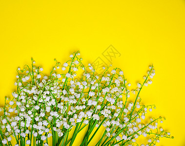 山谷白百合花花束图片