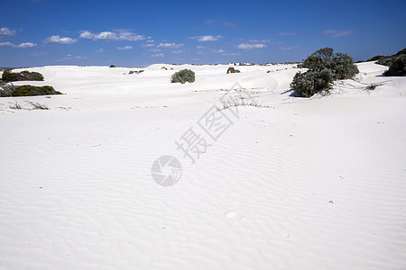 西澳大利亚西澳大利亚白沙丘色 旅游 风景 自然图片